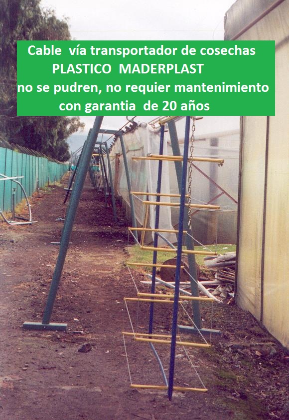 cable vía cultivos tecnificados cablevía vías por cable trasporte movimiento de cosecha en vía cableada aérea recolección tecnificadas de cosechas cultivos cable flores banano plátano peces 002 cable vía cultivos tecnificados cablevía vías por cable trasporte movimiento cable vía cultivos tecnificados cablevía vías por cable trasporte movimiento de cosecha en vía cableada aérea recolección tecnificadas de cosechas cultivos cable flores banano plátano peces 002 de cosecha en vía cableada aérea recolección tecnificadas de cosechas cultivos cable flores banano plátano peces 002